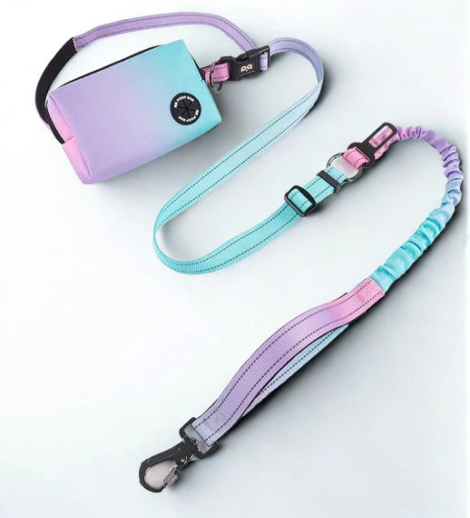 Laisses Mains-libres