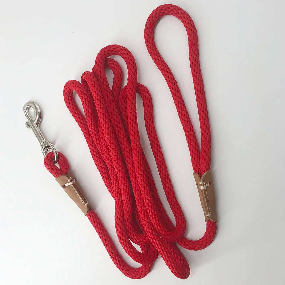 L'Horizon-Waf Line-laisses chien-harnais-enrouleur-dressage