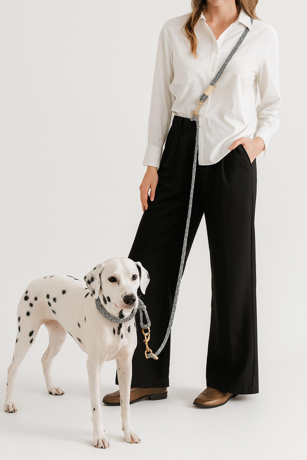 L'Urban 10-en-1-Waf Line-laisses chien-harnais-enrouleur-dressage