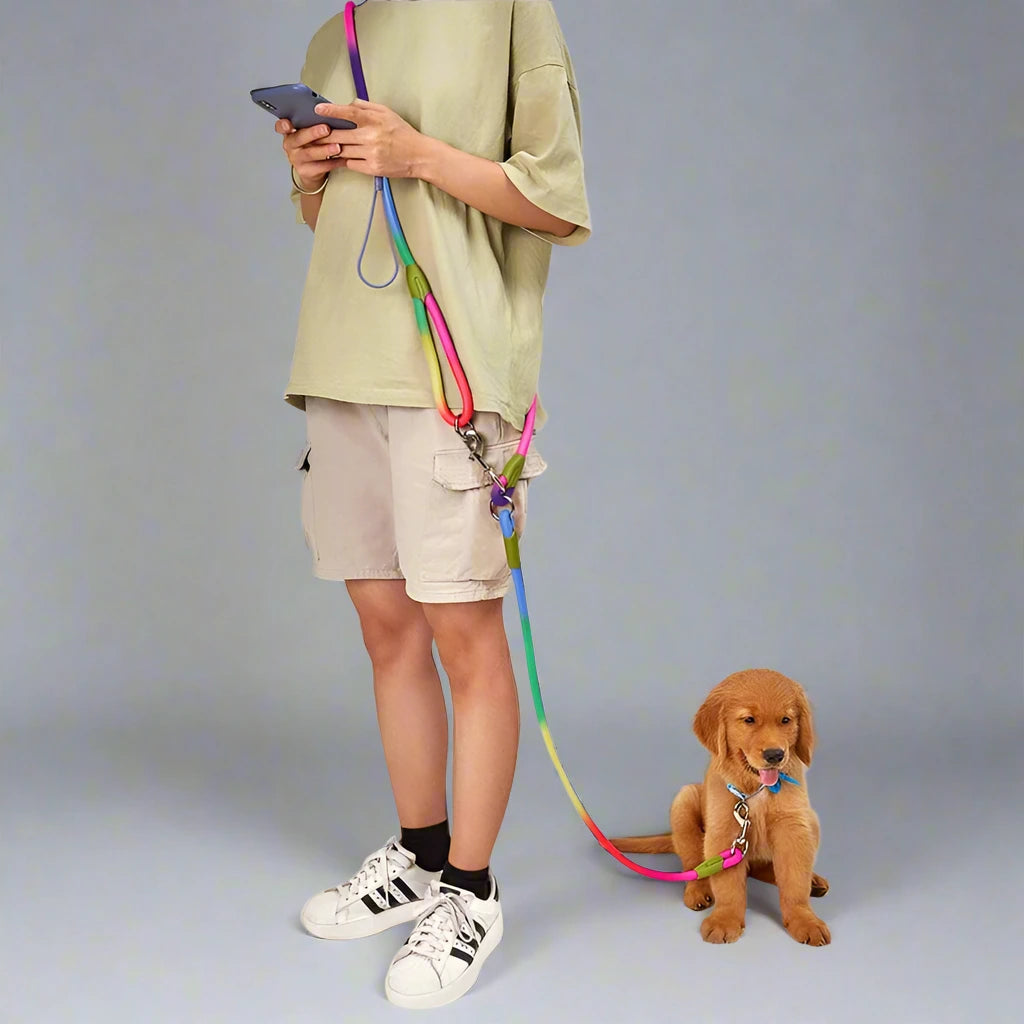 La Berlin-Waf Line-laisses chien-harnais-enrouleur-dressage