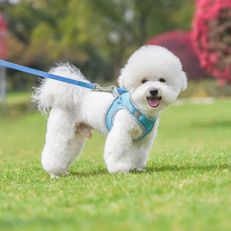 Le Câlin-Waf Line-laisses chien-harnais-enrouleur-dressage