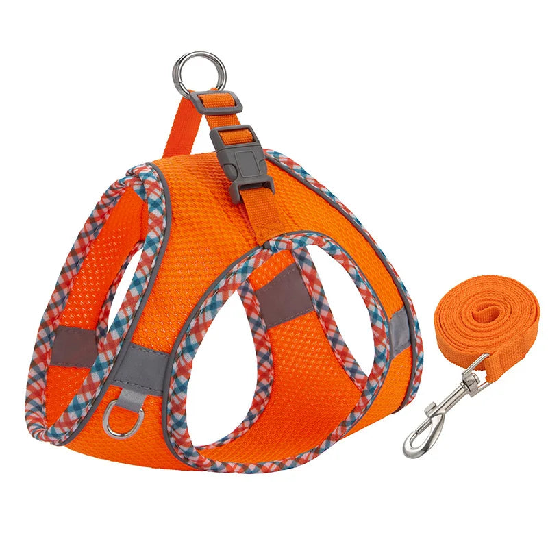 Le Câlin-Waf Line-laisses chien-harnais-enrouleur-dressage