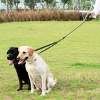 Le Fusion-Waf Line-laisses chien-harnais-enrouleur-dressage