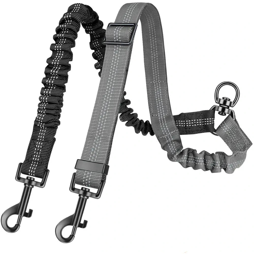 Le Gemini (coupleur)-Waf Line-laisses chien-harnais-enrouleur-dressage