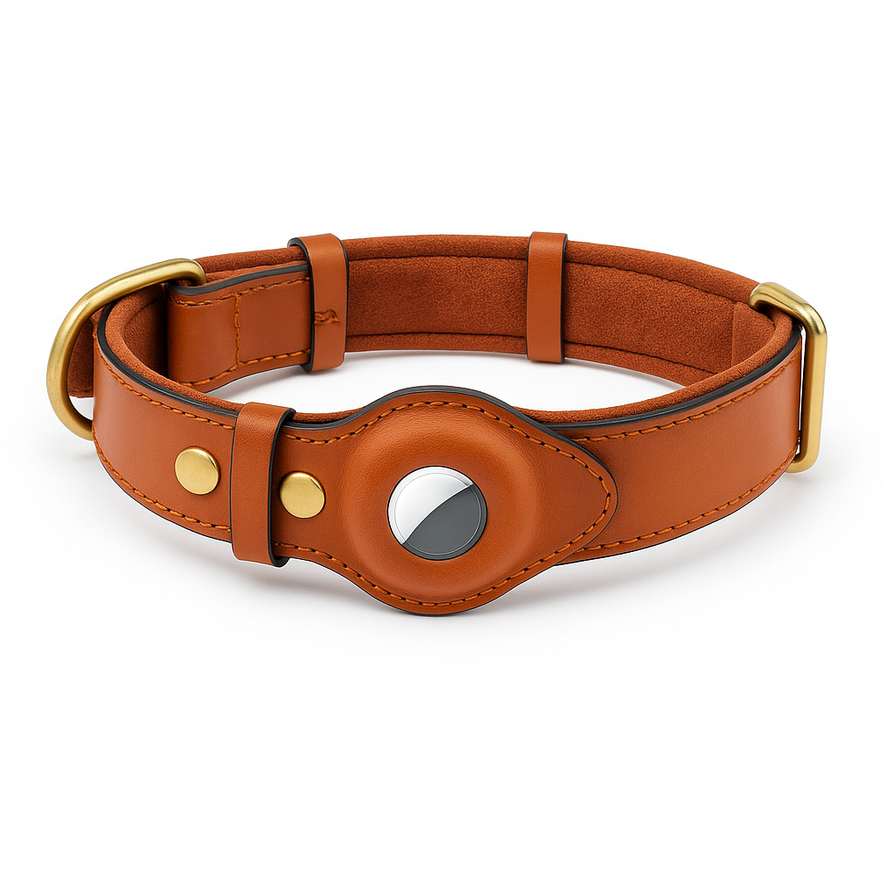 Le Guardian-Waf Line-laisses chien-harnais-enrouleur-dressage