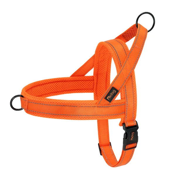 Le Largo-Waf Line-laisses chien-harnais-enrouleur-dressage