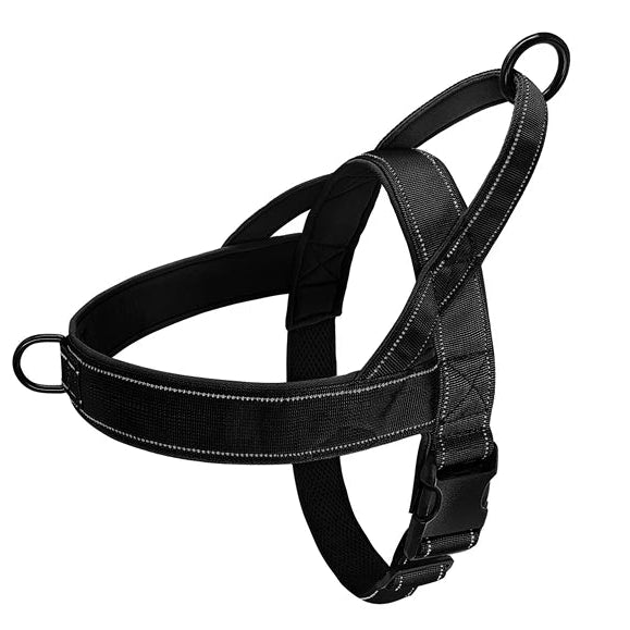 Le Largo-Waf Line-laisses chien-harnais-enrouleur-dressage