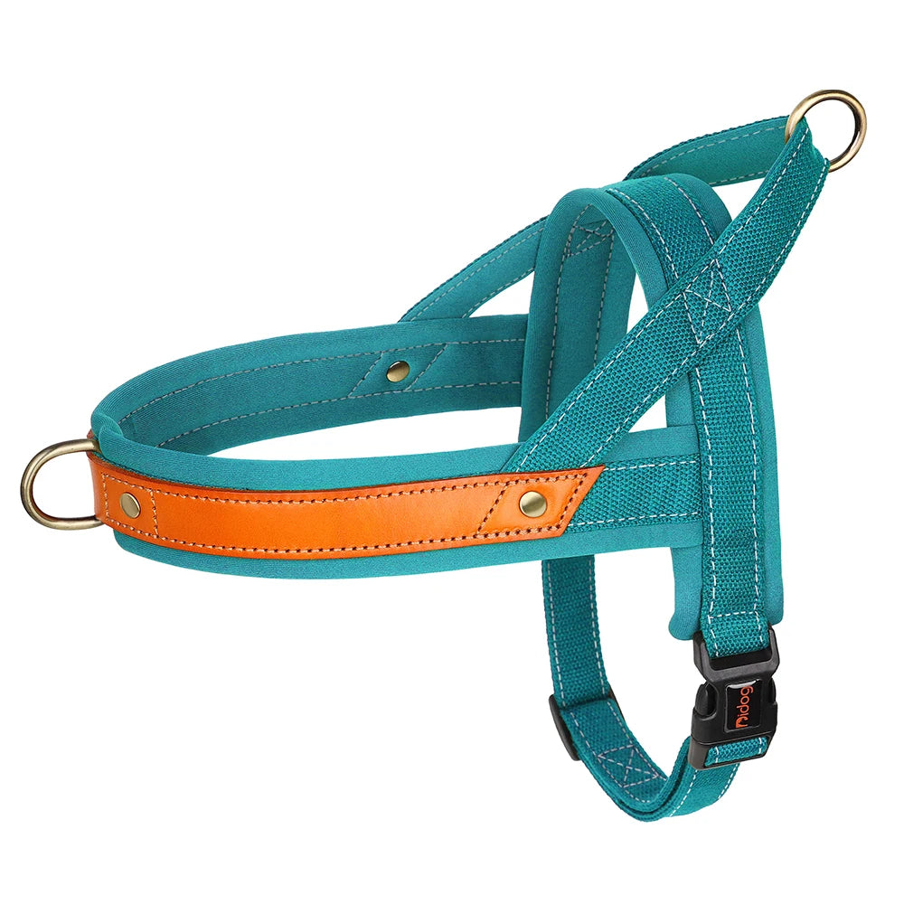 Le Largo-Waf Line-laisses chien-harnais-enrouleur-dressage