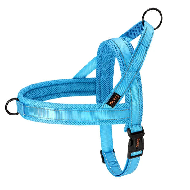 Le Largo-Waf Line-laisses chien-harnais-enrouleur-dressage