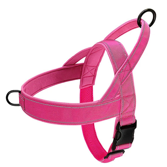 Le Largo-Waf Line-laisses chien-harnais-enrouleur-dressage