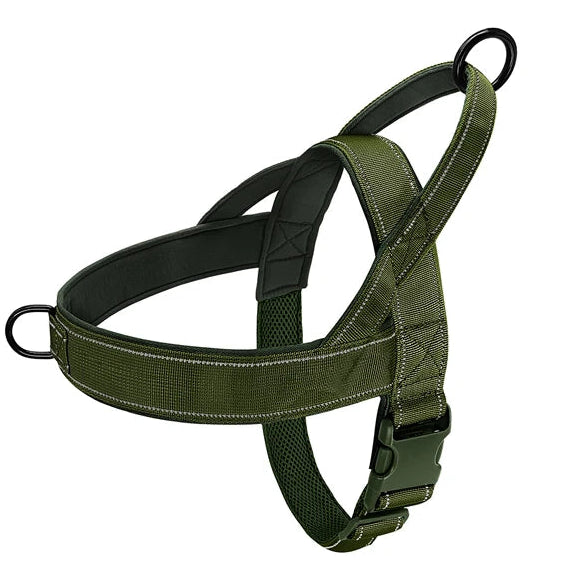 Le Largo-Waf Line-laisses chien-harnais-enrouleur-dressage