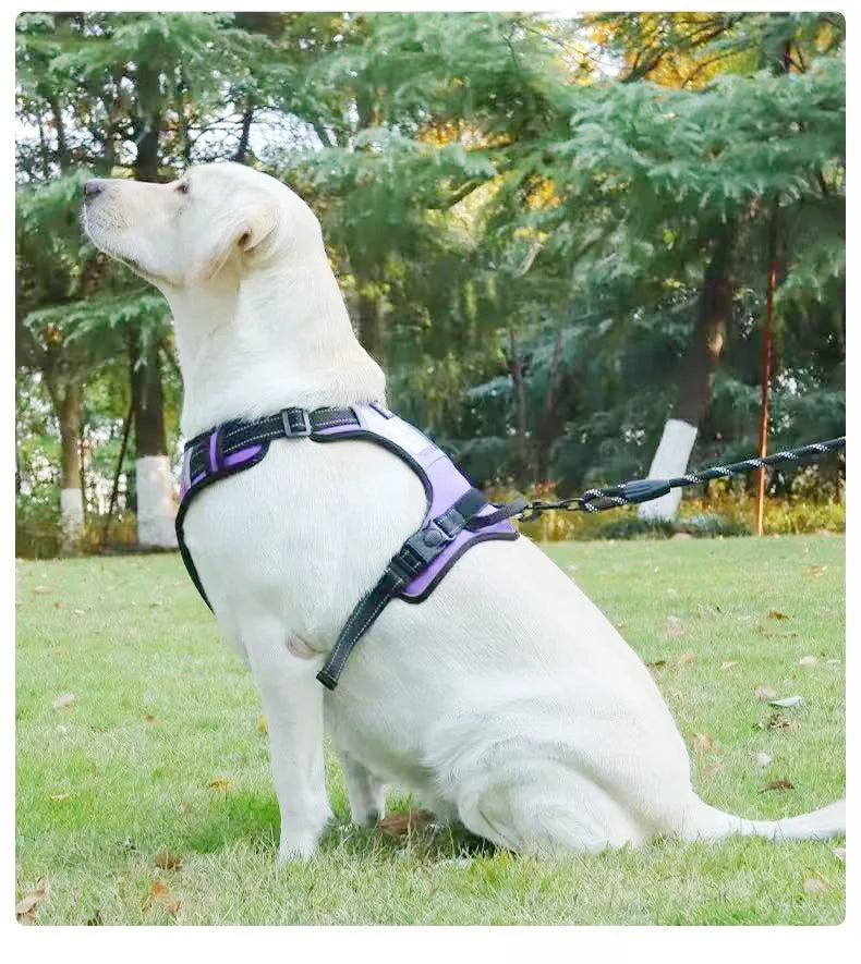 Le Major-Waf Line-laisses chien-harnais-enrouleur-dressage