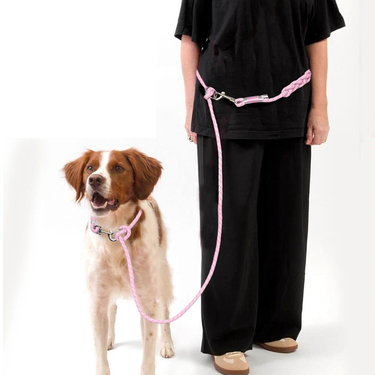 Le Nomad-Waf Line-laisses chien-harnais-enrouleur-dressage