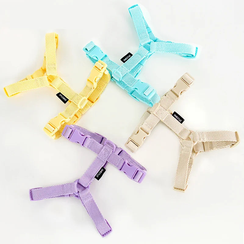 Le Nuage-Waf Line-laisses chien-harnais-enrouleur-dressage