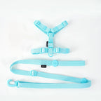 Le Nuage-Waf Line-laisses chien-harnais-enrouleur-dressage