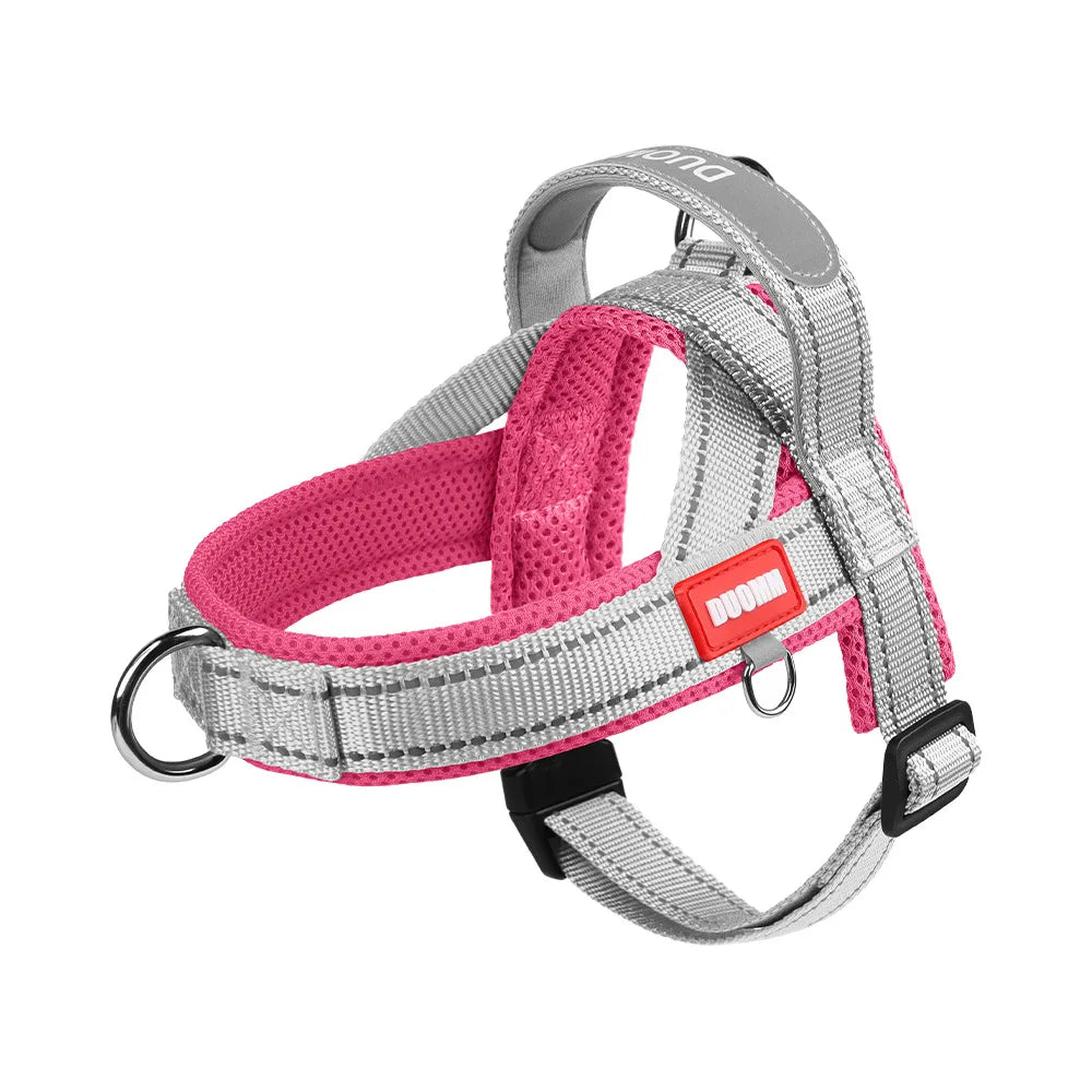 Le Ranger-Waf Line-laisses chien-harnais-enrouleur-dressage