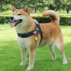 Le Ranger-Waf Line-laisses chien-harnais-enrouleur-dressage