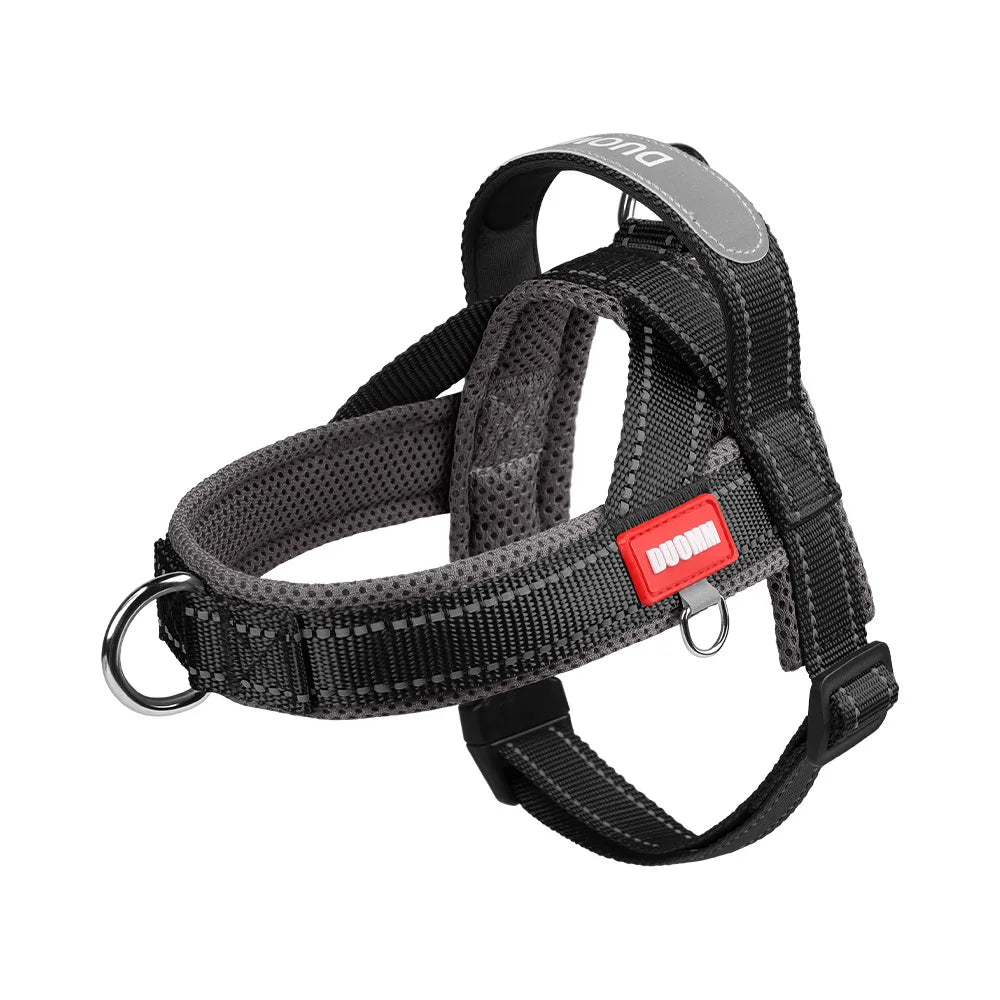 Le Ranger-Waf Line-laisses chien-harnais-enrouleur-dressage