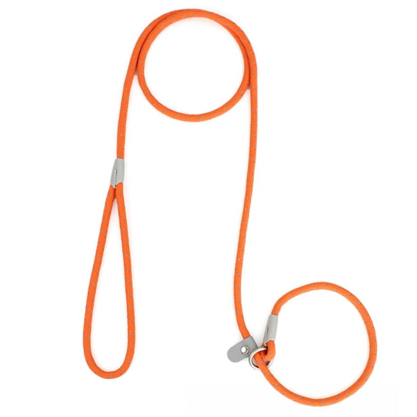 Le Riviera-Waf Line-laisses chien-harnais-enrouleur-dressage