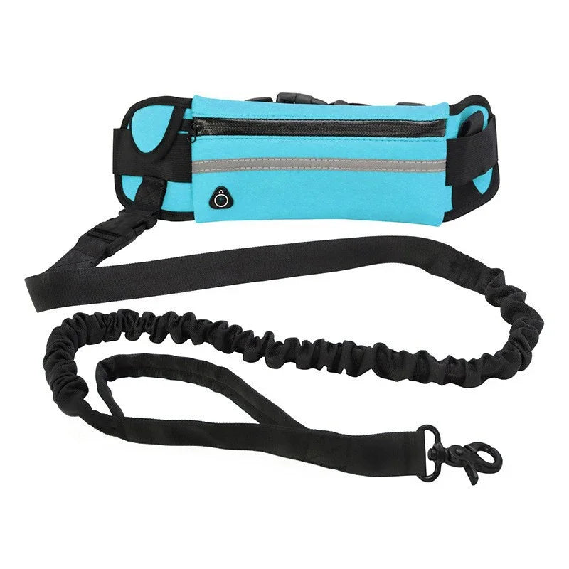 Le Runner-Waf Line-laisses chien-harnais-enrouleur-dressage