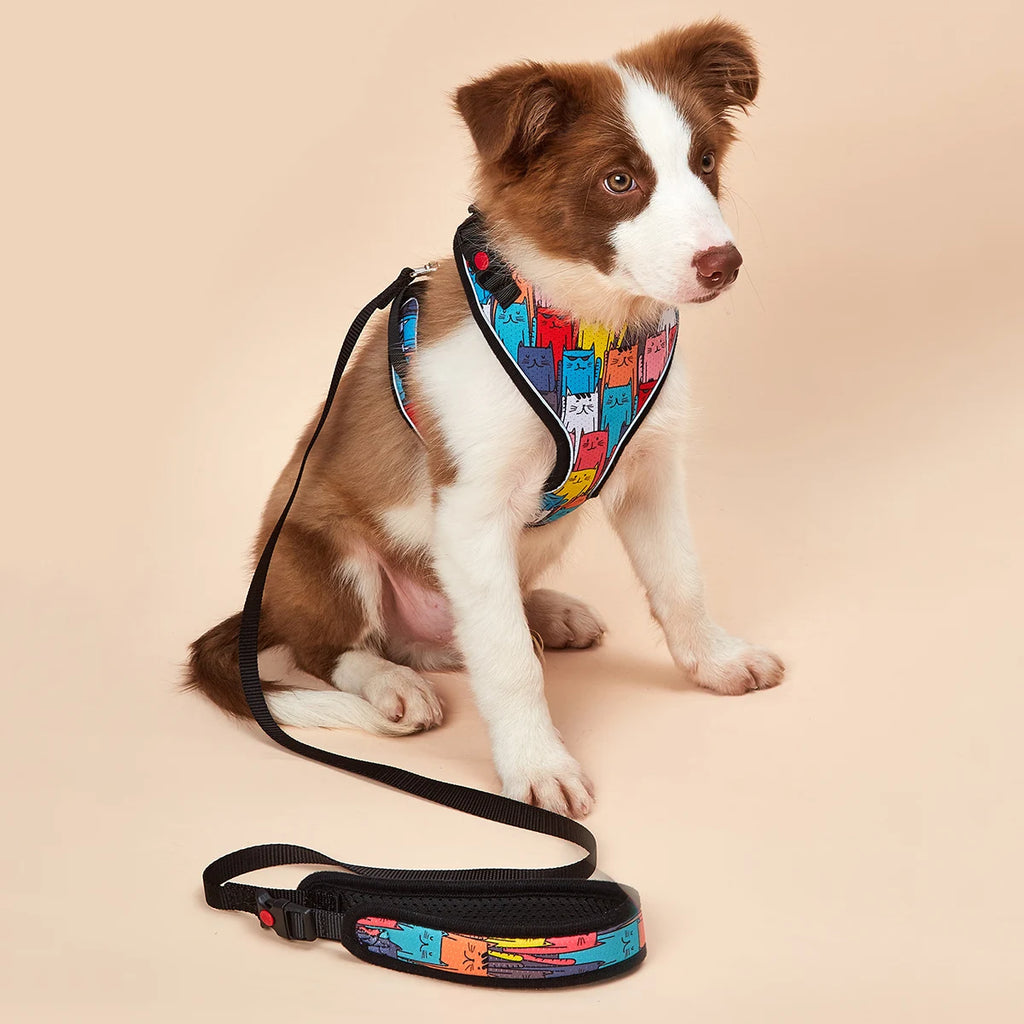 Le Soho (Ensemble)-Waf Line-laisses chien-harnais-enrouleur-dressage