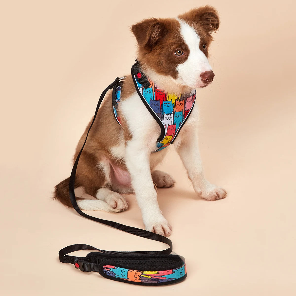 Le Soho (Ensemble)-Waf Line-laisses chien-harnais-enrouleur-dressage