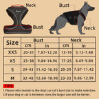 Le Soho (Ensemble)-Waf Line-laisses chien-harnais-enrouleur-dressage