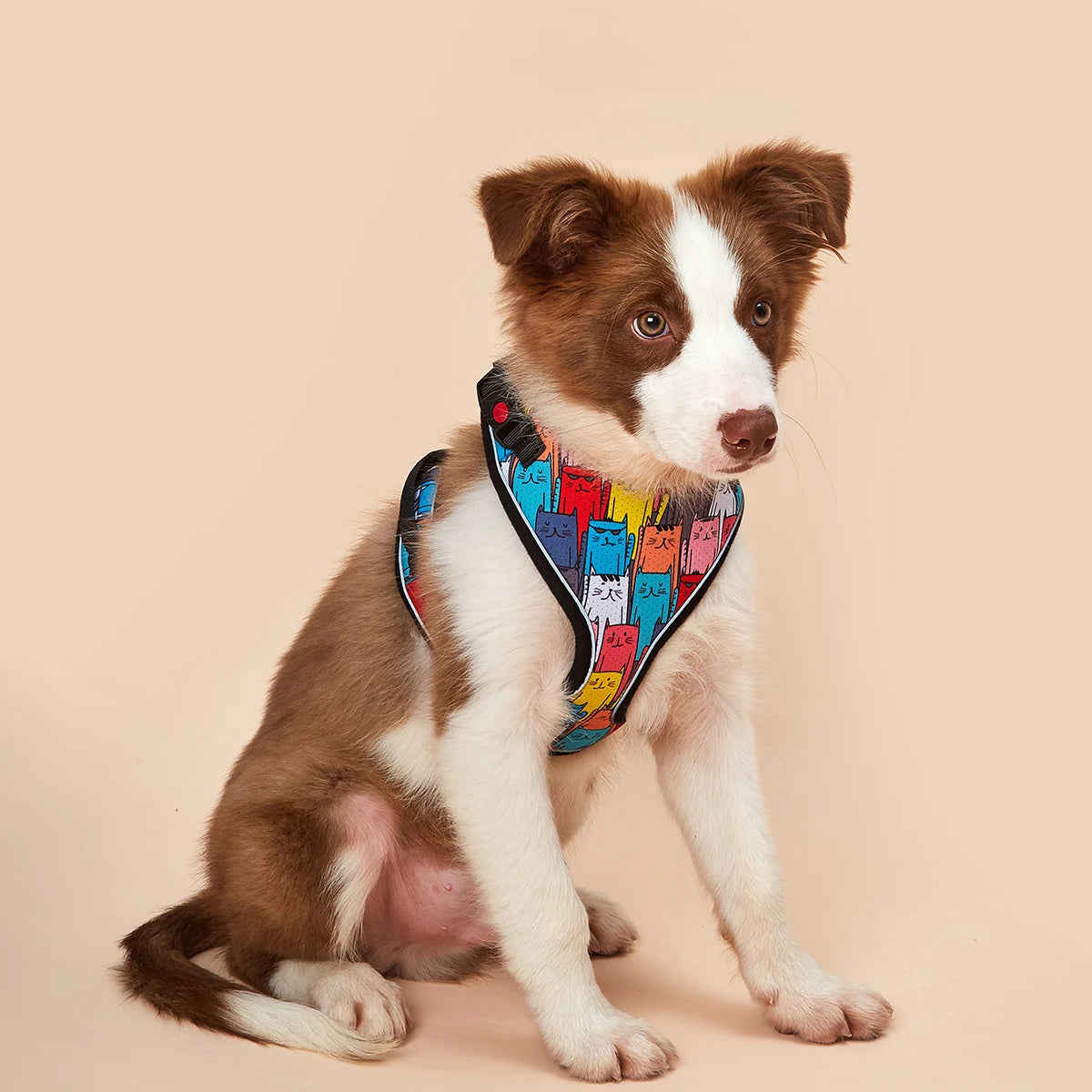 Le Soho (Ensemble)-Waf Line-laisses chien-harnais-enrouleur-dressage