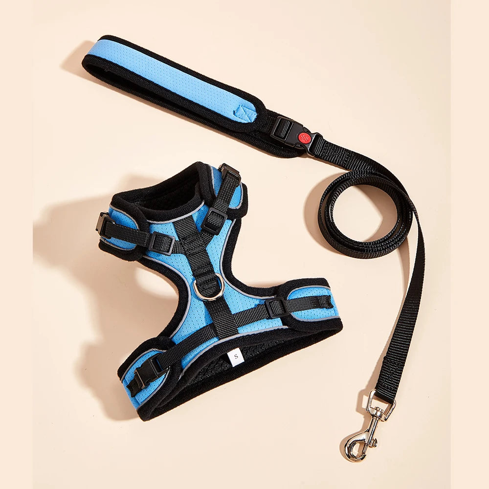 Le Soho (Ensemble)-Waf Line-laisses chien-harnais-enrouleur-dressage