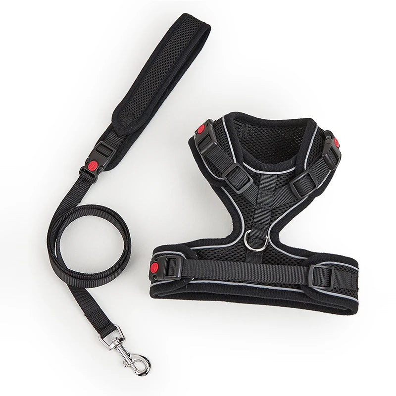 Le Soho (Ensemble)-Waf Line-laisses chien-harnais-enrouleur-dressage