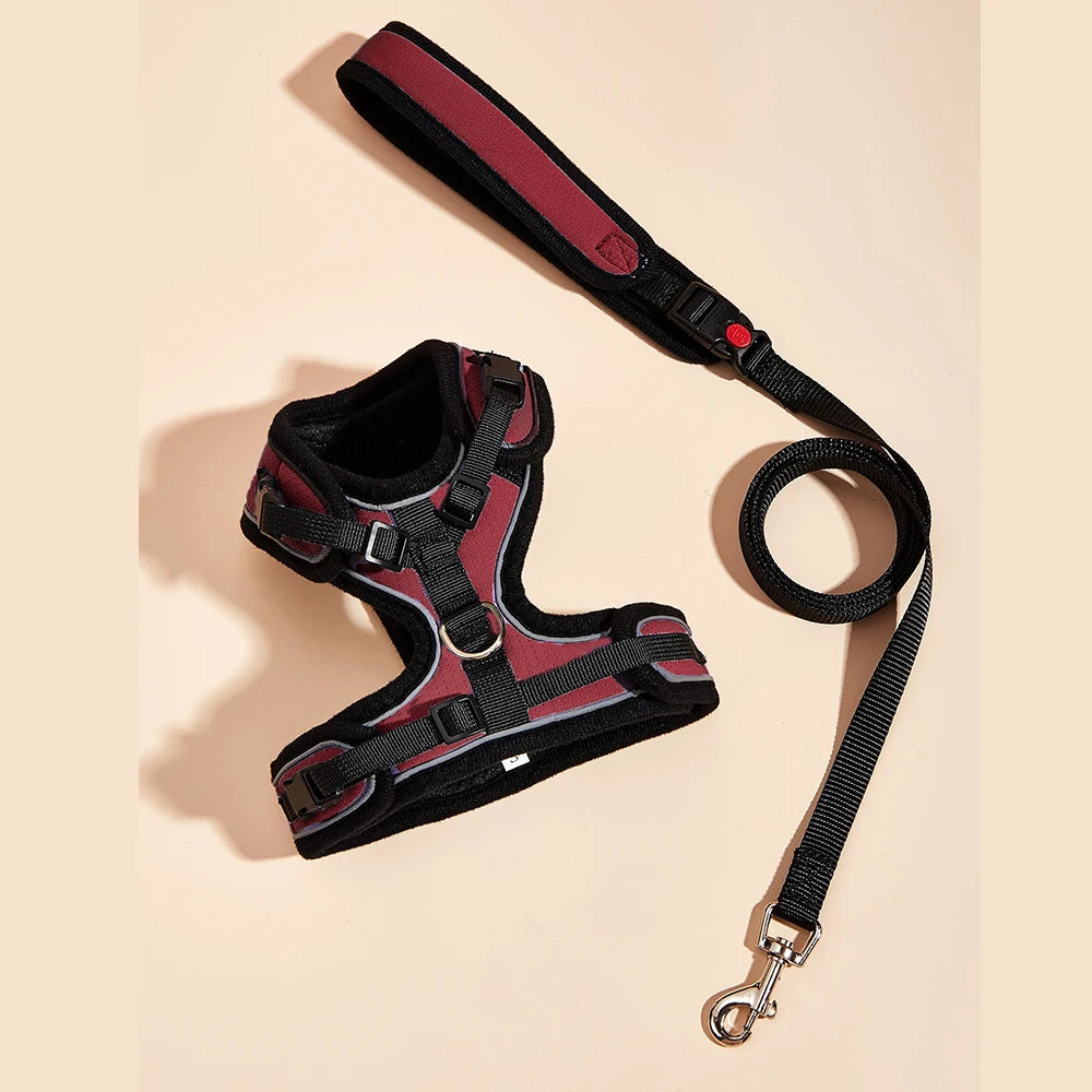 Le Soho (Ensemble)-Waf Line-laisses chien-harnais-enrouleur-dressage