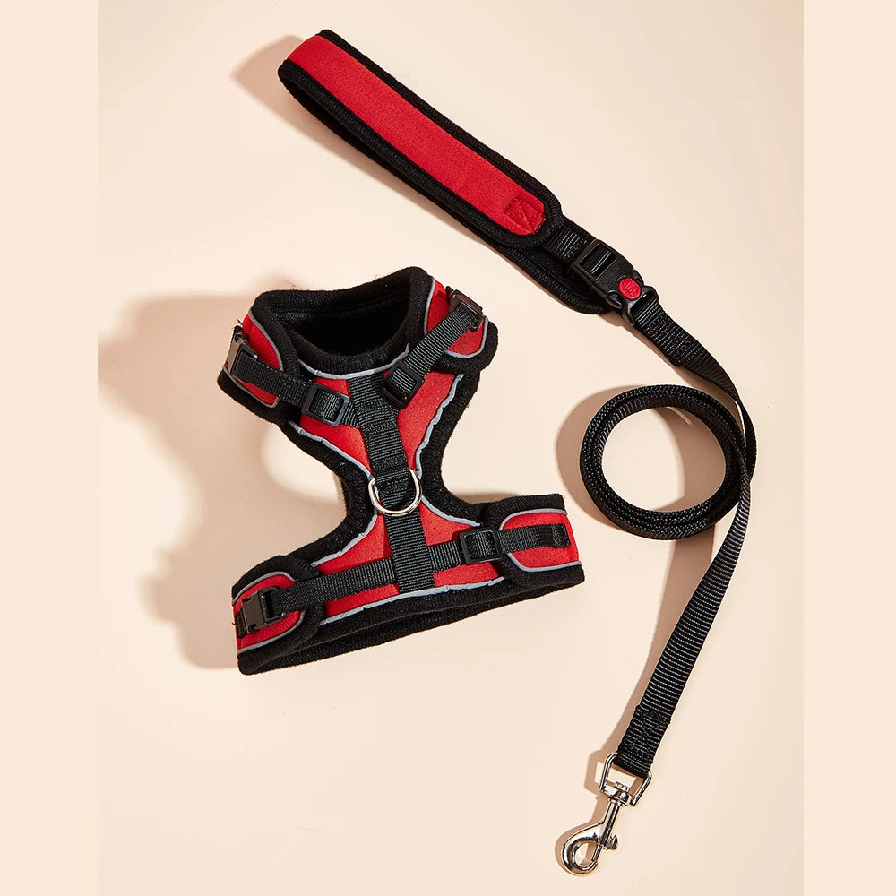 Le Soho (Ensemble)-Waf Line-laisses chien-harnais-enrouleur-dressage