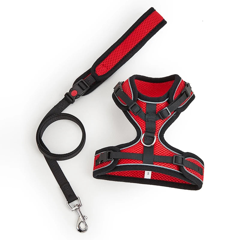 Le Soho (Ensemble)-Waf Line-laisses chien-harnais-enrouleur-dressage