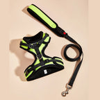 Le Soho (Ensemble)-Waf Line-laisses chien-harnais-enrouleur-dressage