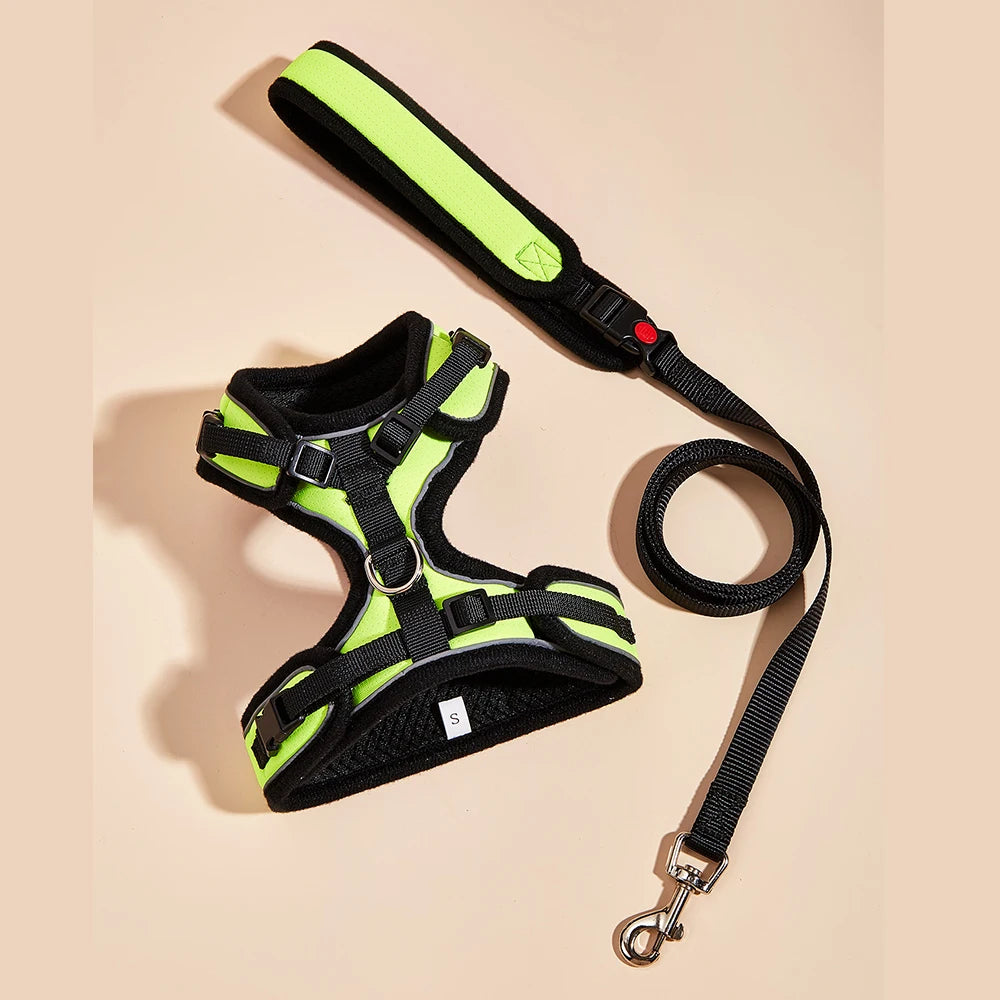 Le Soho (Ensemble)-Waf Line-laisses chien-harnais-enrouleur-dressage