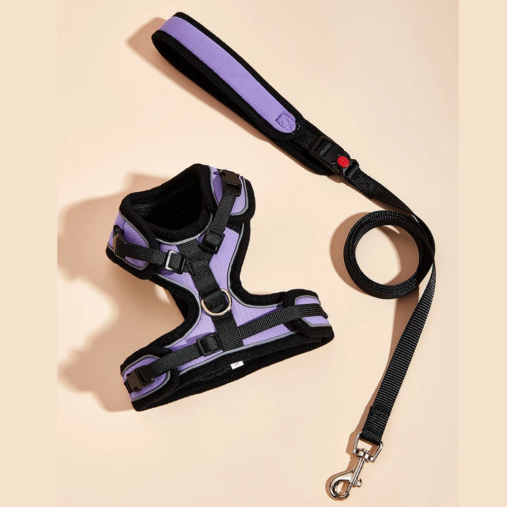 Le Soho (Ensemble)-Waf Line-laisses chien-harnais-enrouleur-dressage