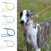 Le Sonic (réfléchissant)