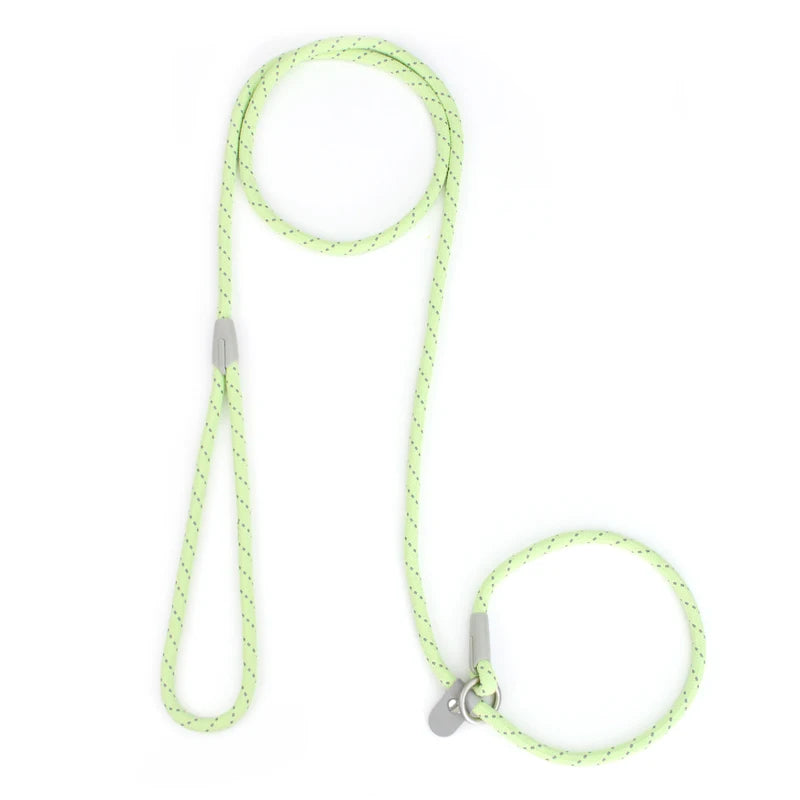 Le Sonic (réfléchissant)-Waf Line-laisses chien-harnais-enrouleur-dressage