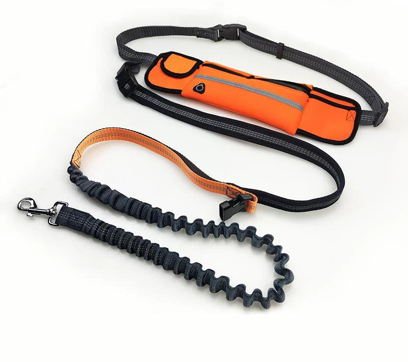 Le Sprint-Waf Line-laisses chien-harnais-enrouleur-dressage