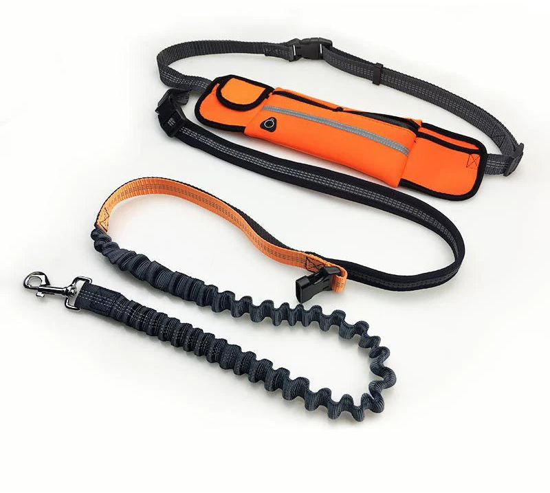 Le Sprint-Waf Line-laisses chien-harnais-enrouleur-dressage