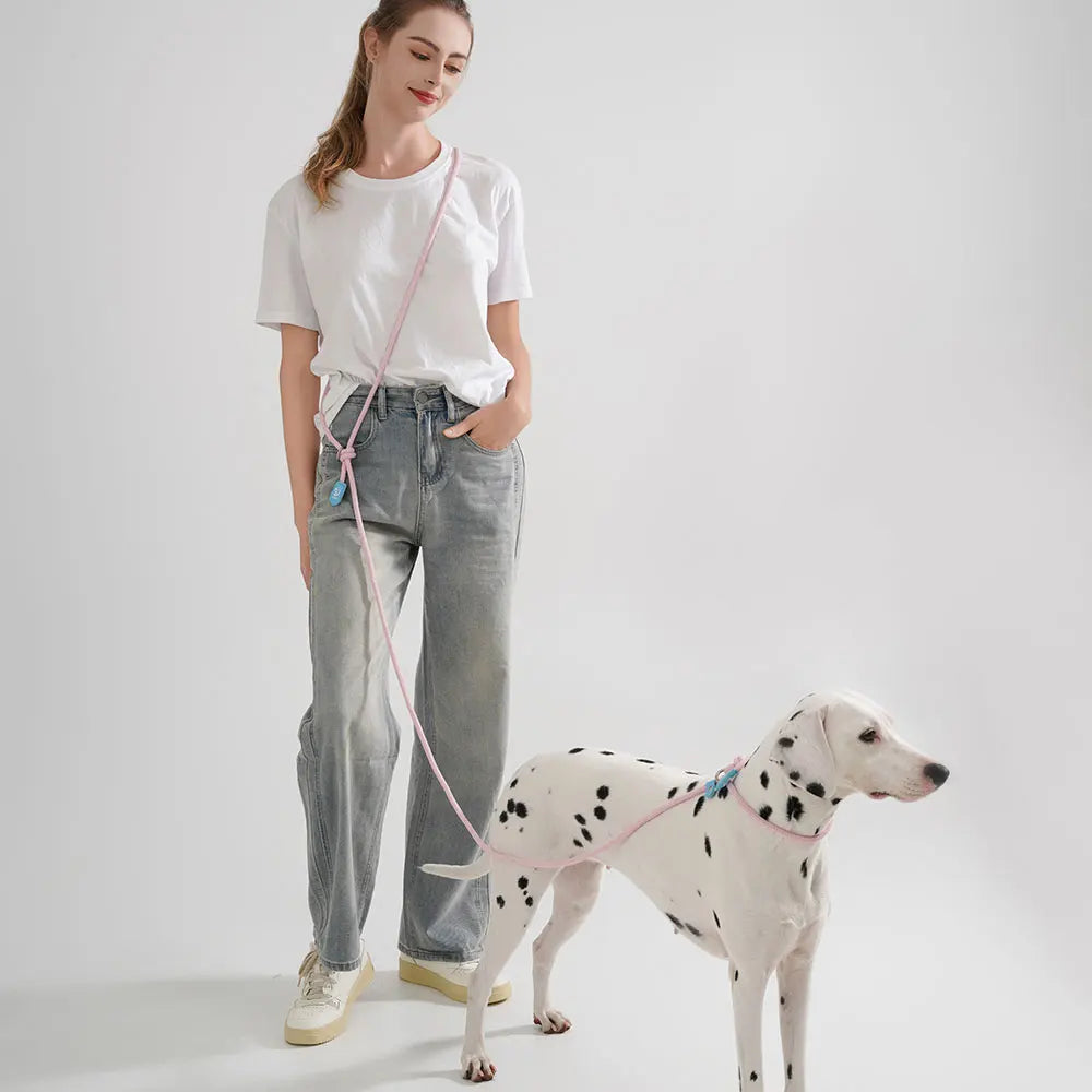 Le Yukon-Waf Line-laisses chien-harnais-enrouleur-dressage